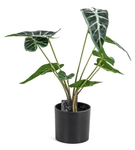 Kunstplant - caladium