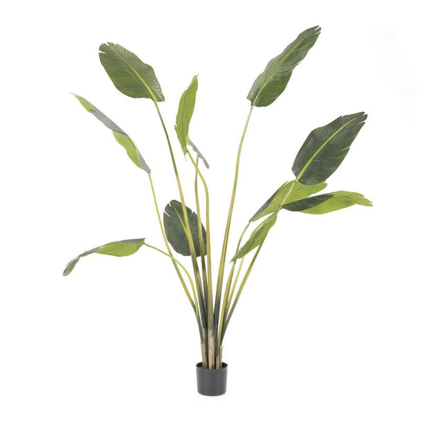 Strelitzia kunstplant - medium