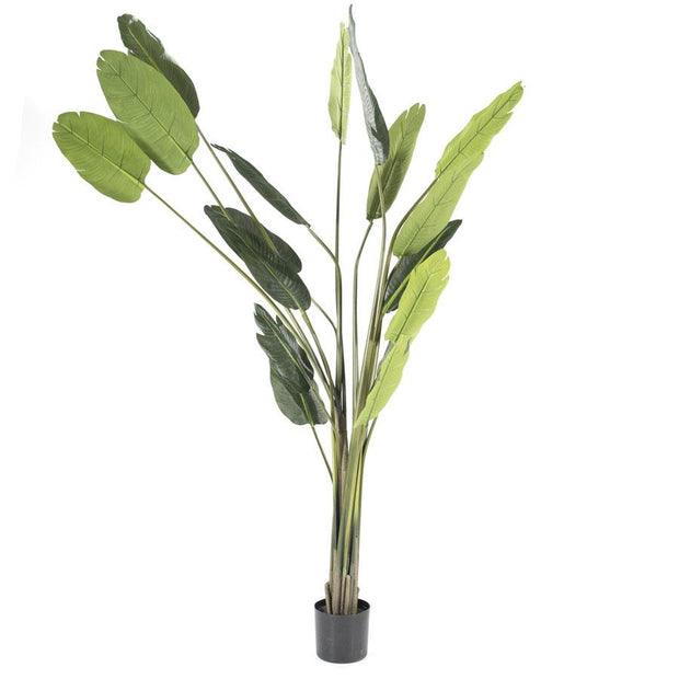 Strelitzia kunstplant - large