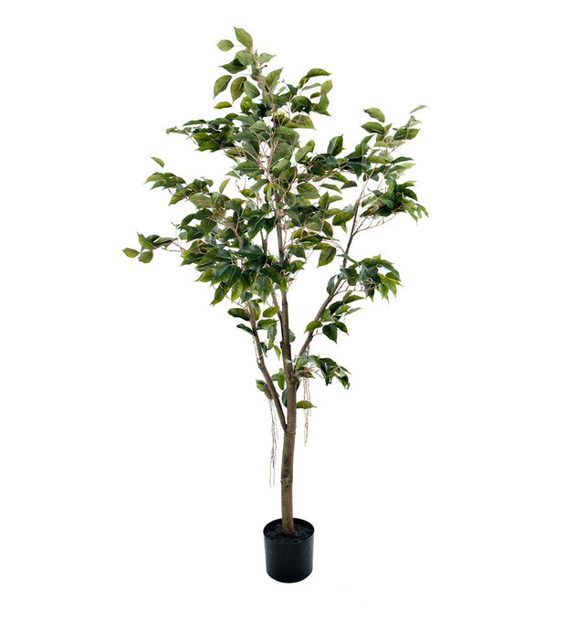Fikus kunstplant - 180 cm