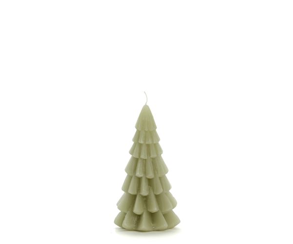 Kerstboomkaars eucalyptus - 12 cm