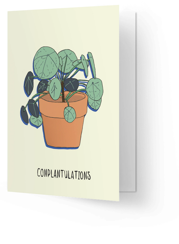 conplantulations