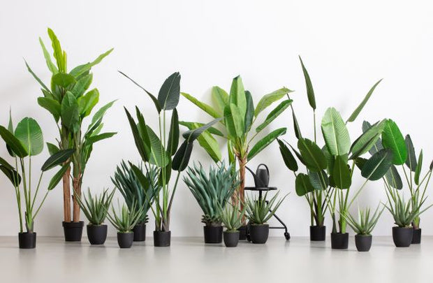 Strelitzia kunstplant - 108 cm