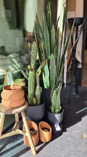 Plantenpot Diablo zwart - 50 cm